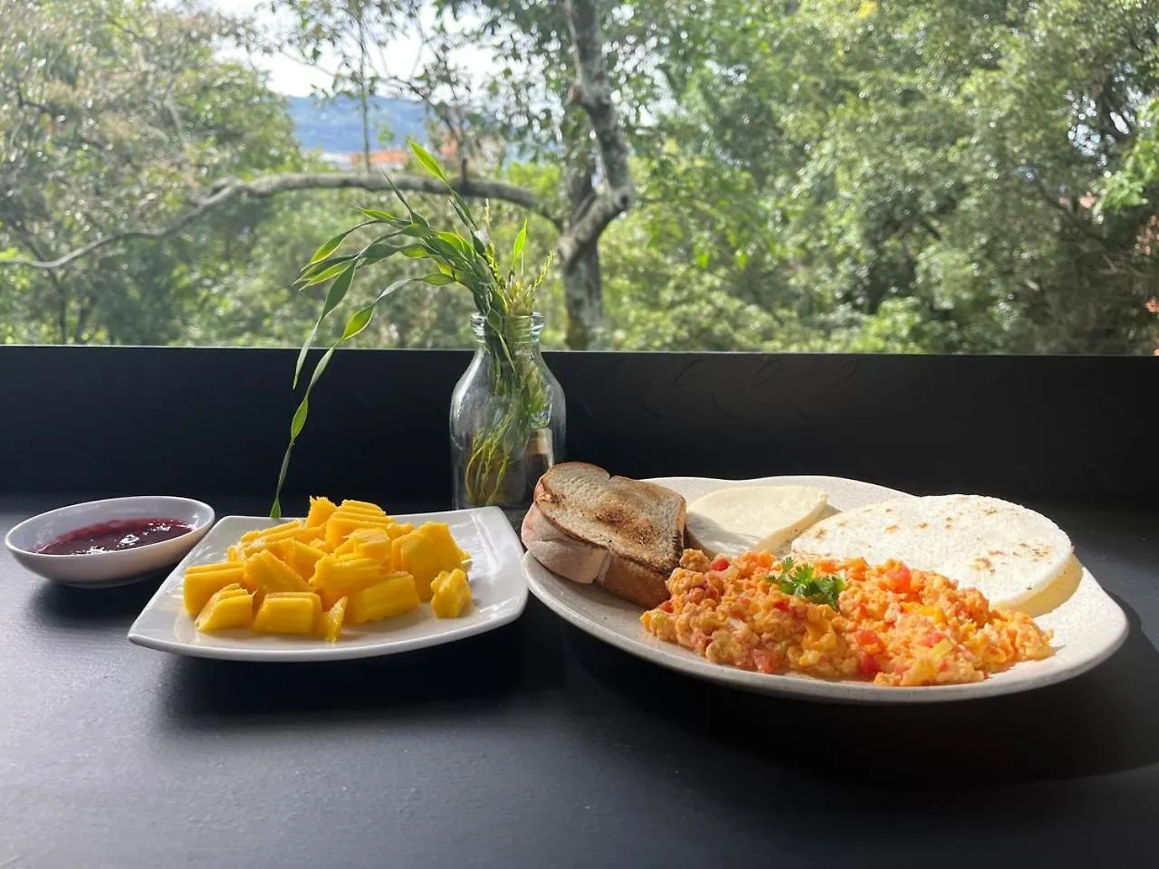 Hotel Zona Verde Medellin